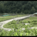 Tsirang’s idle CSI park to be transformed into livestock hub